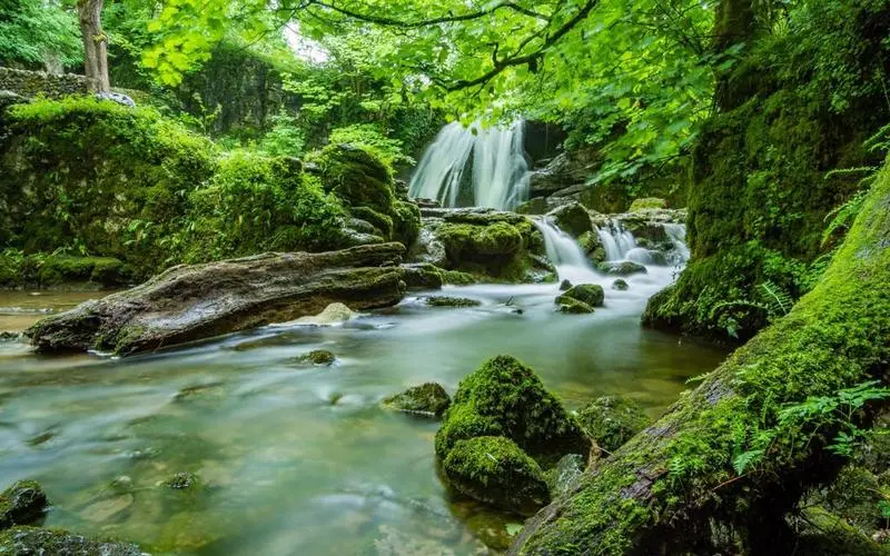 绿色高效独特